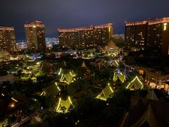 -三亚湾红树林度假世界(木棉酒店)