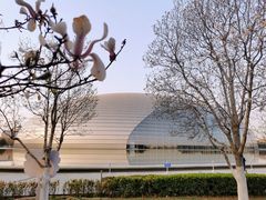 -国家大剧院
