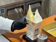 -野人先生Gelato(上海长宁龙之梦店)