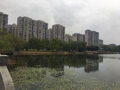 -洋湖国家湿地公园