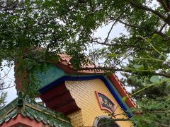 -摩天岭风景区