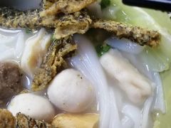 -明兴正宗潮州五彩鱼蛋粉面(中山六路店)