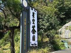 -长沙黑麋峰国家森林公园