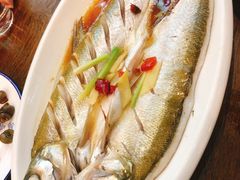 -老马家·舌尖上的西塘美食
