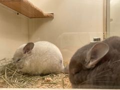 -龙猫仔乐园(惠福东路店)