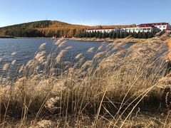 -塞罕坝国家级自然保护区