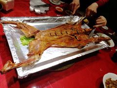 -九十九顶毡房(阜石路店)