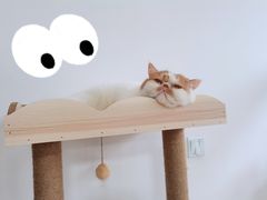 -柒闲月摄影工作室