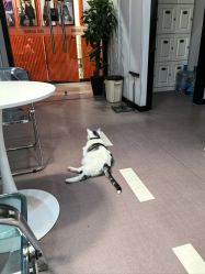 -CICI街舞专业培训