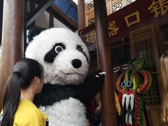 -胖娃古镇鸡杂(磁器口总店)