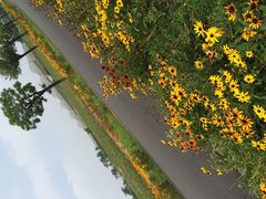 青松岭森林公园-东海森林温泉