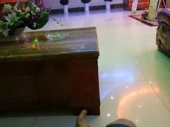 -时代跃都足疗保健休闲广场(二号桥店)