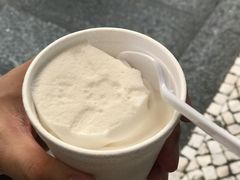椰子雪糕-洪馨椰子