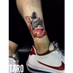 -太狼刺青Taro Tattoo Studio