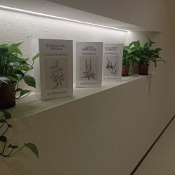 -美丽妈妈产后恢复中心(三林店)