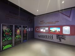 -苏州青少年科技馆