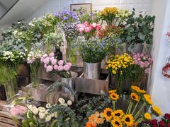 -植物学家的女儿(北马道巷店)