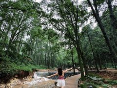 -洛阳白云山景区