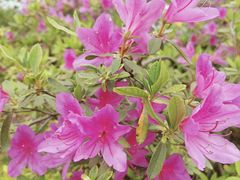 -陈记生蚝烧烤炒菜火锅