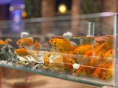 -黄鱼炙夜(华家池店)
