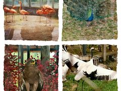 -石家庄市动物园