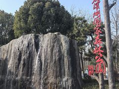 -合肥滨湖国家森林公园