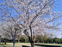 -蠡湖大桥公园