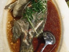 沙田轩(水城路店)-沙田轩(古北店)