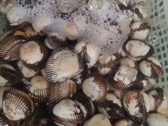 -金沙滩海鲜餐厅·海肠捞饭·手工水饺(梅江龙水园店)