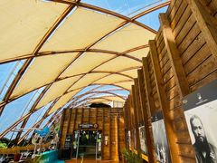 -怀托摩萤火虫洞