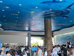 -黄金海岸水上乐园