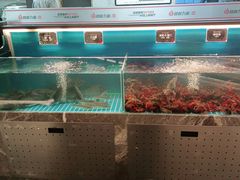 水产区-鼎原力量东北吊炉烧烤(幸福街店)