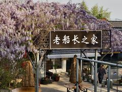 -巢湖姥山岛