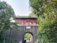 -云岗森林公园