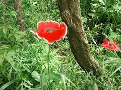 -盘龙城国家考古遗址公园