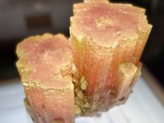 -安徽省地质博物馆