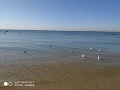 -老虎石海上公园