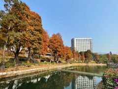 -大埔公路-马料水段香港中文大学(公交站)