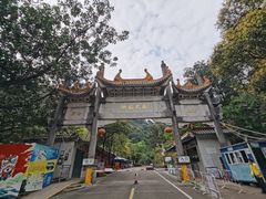 -南海湾森林生态园
