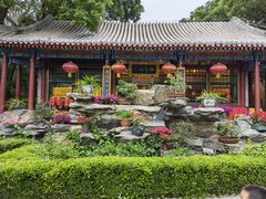 -白家大院·王府宫廷菜(苏州街店)