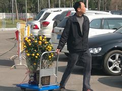 -珠海市体育中心-游泳馆