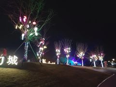 -荷兰花海