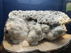 -贵州省地质博物馆