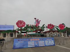 -曹州牡丹园