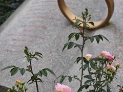 -人民公园(罗湖区)