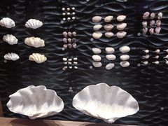 -上海自然博物馆