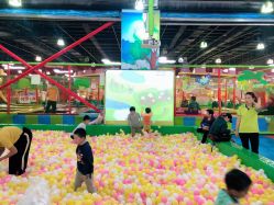 -维佳童话镇演出现场(徐东店)