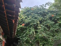 -碑林公园