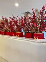 -深圳春天阳光医院·轮廓抗衰中心