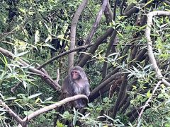 -苏州上方山国家森林公园